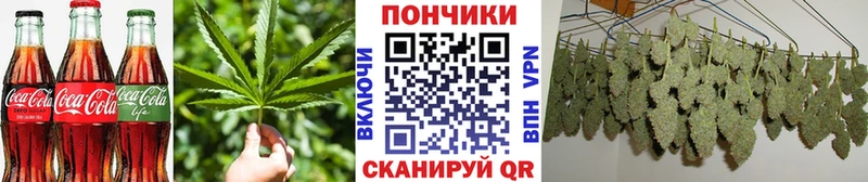 Печенье с ТГК марихуана  где купить наркоту  Новосокольники 