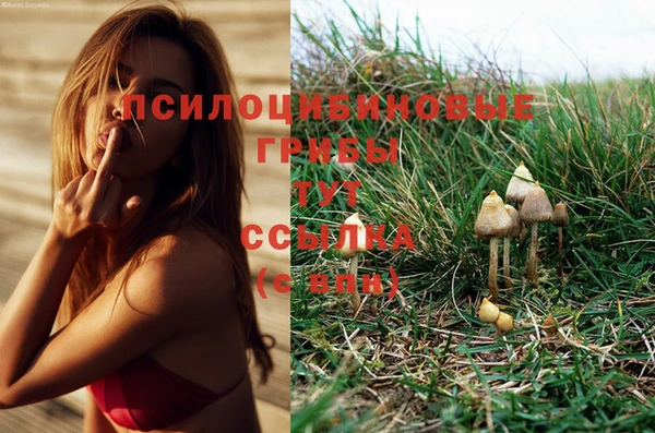 соль ск Верея