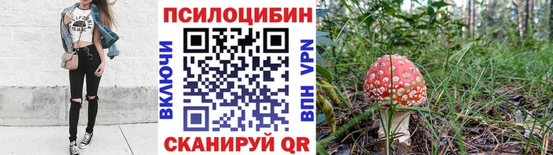 гидра онион что такое Новосокольники Галлюциногенные грибы MAGIC MUSHROOMS